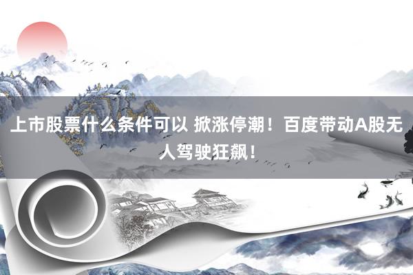 上市股票什么条件可以 掀涨停潮！百度带动A股无人驾驶狂飙！