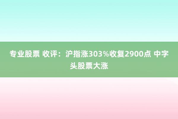 专业股票 收评：沪指涨303%收复2900点 中字头股票大涨