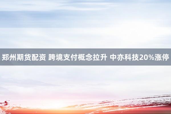 郑州期货配资 跨境支付概念拉升 中亦科技20%涨停