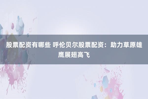 股票配资有哪些 呼伦贝尔股票配资：助力草原雄鹰展翅高飞