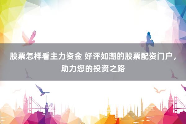 股票怎样看主力资金 好评如潮的股票配资门户，助力您的投资之路