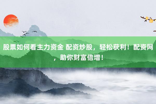 股票如何看主力资金 配资炒股，轻松获利！配资网，助你财富倍增！