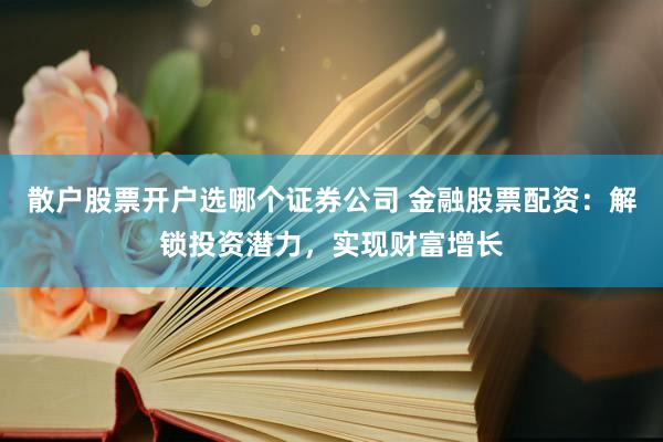 散户股票开户选哪个证券公司 金融股票配资：解锁投资潜力，实现财富增长
