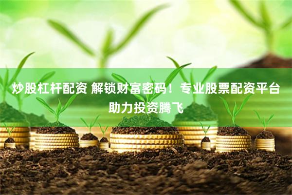 炒股杠杆配资 解锁财富密码！专业股票配资平台助力投资腾飞